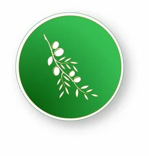 Olive video editor