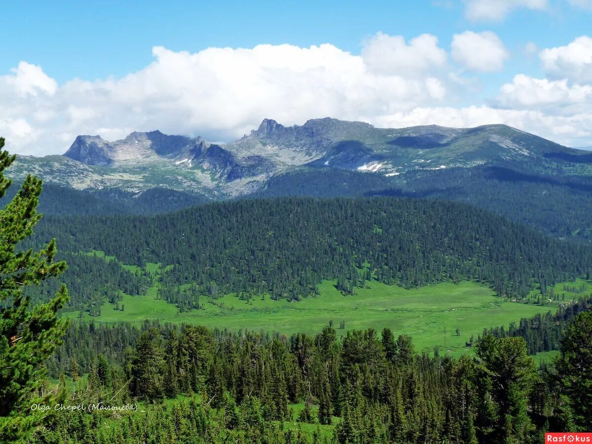 Родной край красноярского края. Тайга Ергаки. Тайга леса Красноярск. Природа Красноярского края Тайга. Зона тайги Красноярского края.