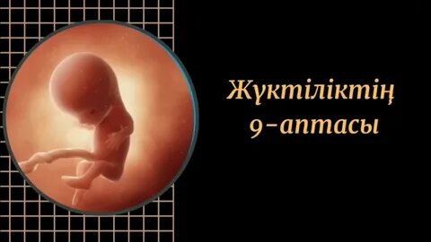 Сюзанна Драбинова бейне