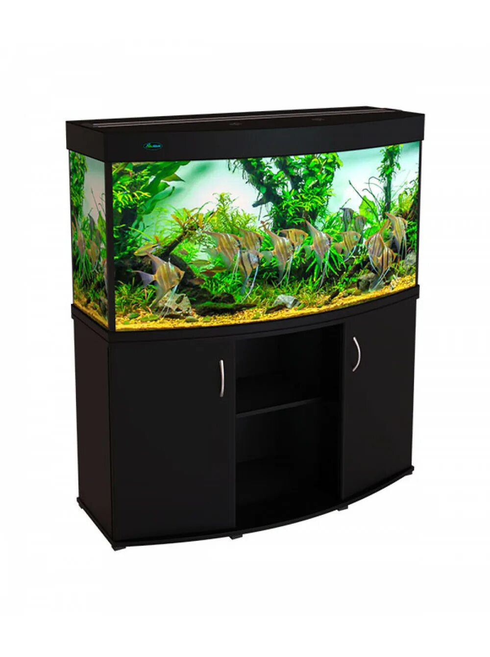 Аквариум террариум ferplast гео макси 21л. Atman цилиндрический аквариум. Аквариум аквас 230. Недорогие аквариумы москвы. Цилиндрический аквариум-башня marvelous-aqva.