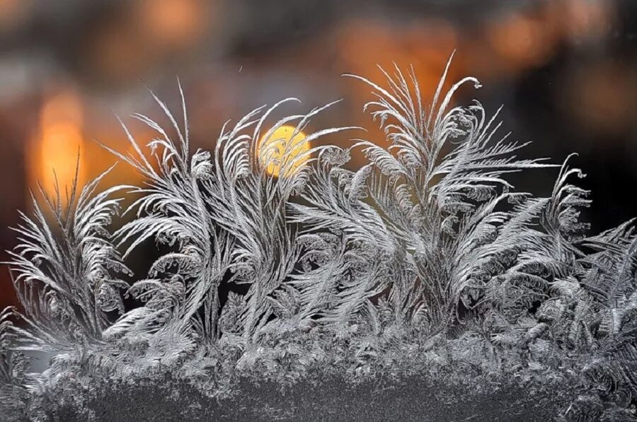 Морозные узоры на окне. Узоры мороза на стекле. Мороз на окне. Мороз на окне. Друзья вы когда нибудь любовались морозными узорами.