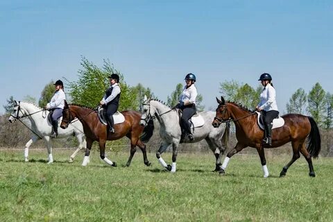 Конный спорт казань