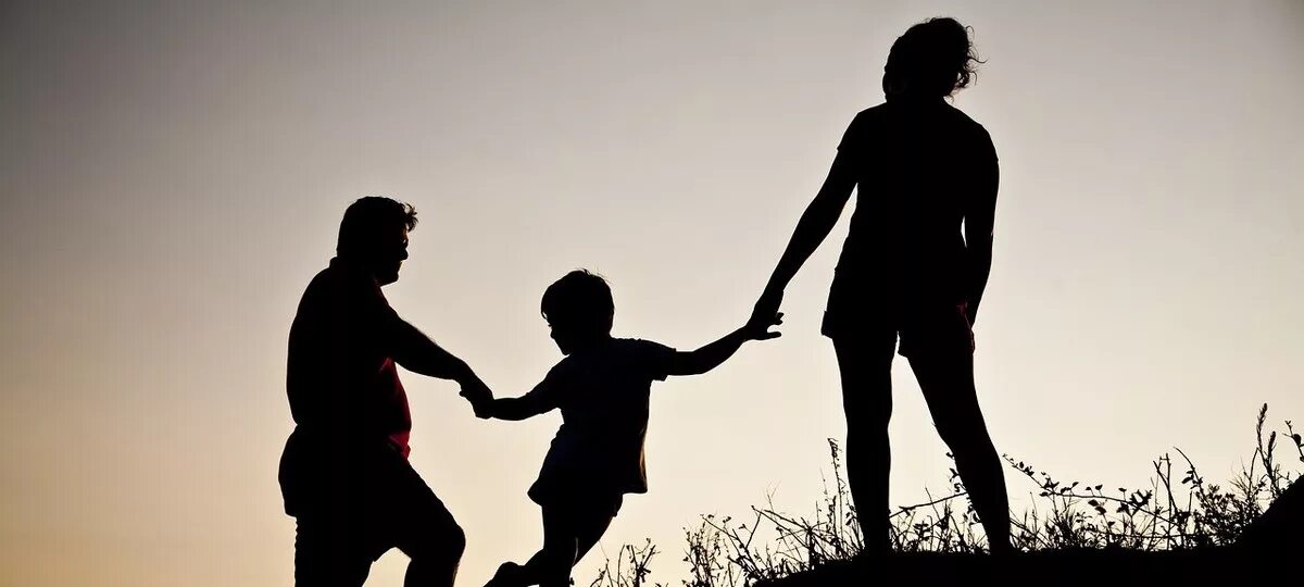 Каждая семья представляет явление. Каждая семья представляет явление