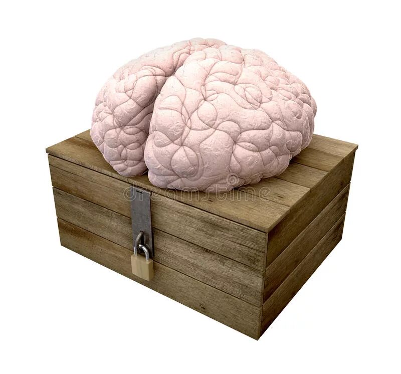 мозги в коробочке подарок. мозги коробочки. мозги коробочки. мозг в коробке. мозг в подарок.
