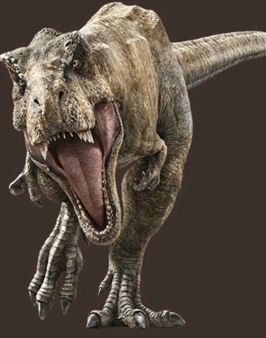 Тираннозавр картинки. Рекс Тирекс. Тиранозаврус рекс. Тираннозавр ти рекс. Парк Юрского периода Тиранозавр.