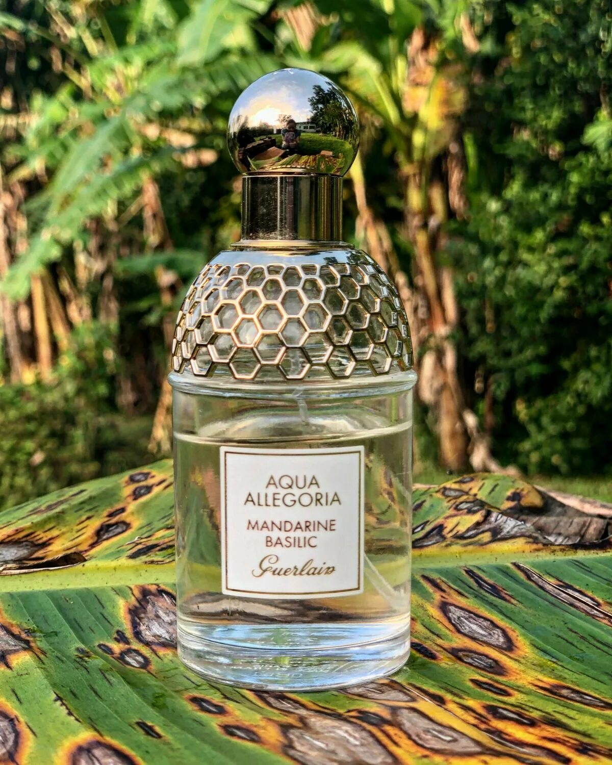 Аква мандарин. Аква мандарин. Духи guerlain aqua allegoria mandarine-basilic. Аква мандарин. Guerlain aqua allegoria mandarine.