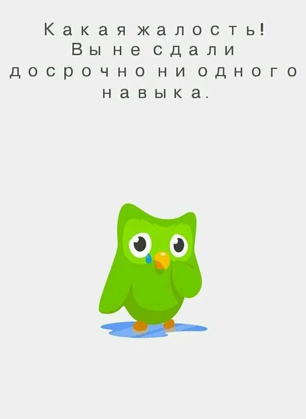 Дуолинго умер. Дуолинго. Duolingo мемы. Сова Дуолинго. Дуолинго прикол.