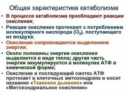 Во время какого процесса