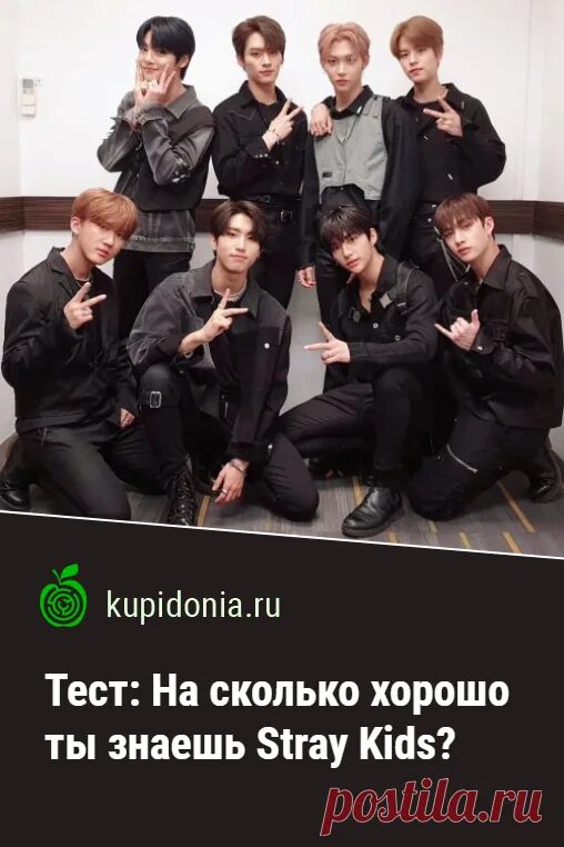 Насколько хорошо ты знаешь stray kids