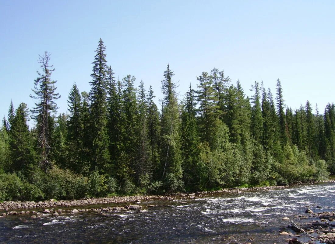 Погода кунерма. Река Кунерма. Озеро Кунерма. Кунерма Иркутская область. Река Кунерма Иркутская область.