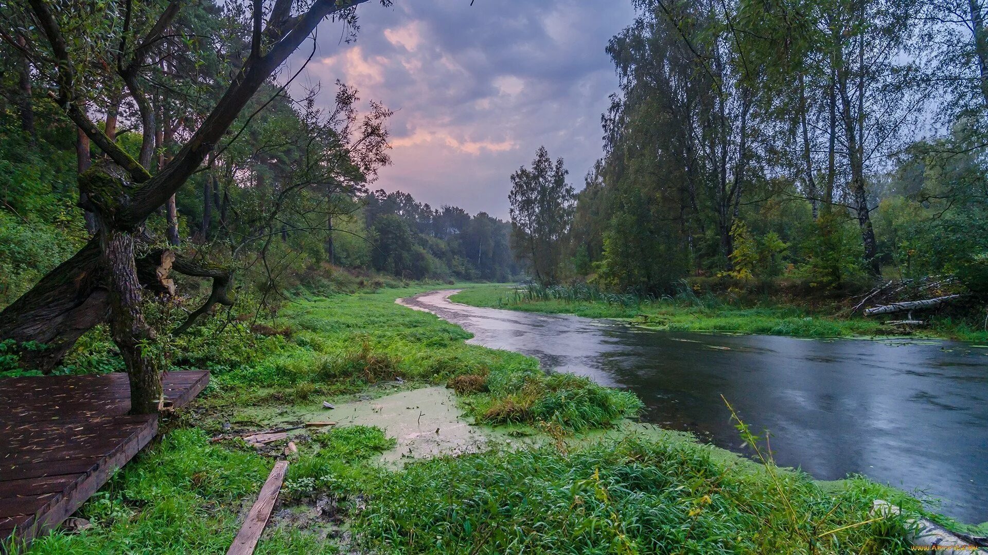 Река Клязьма Нижегородская область. Исток реки Клязьма. Река Клязьма Щелково. Солотча извилистая река