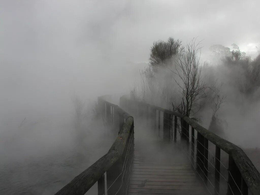 Густой туман. Дождь и туман. Сильный туман. Туман фото. Плотный сквозь