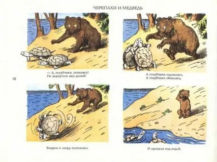 Медведь черепаха