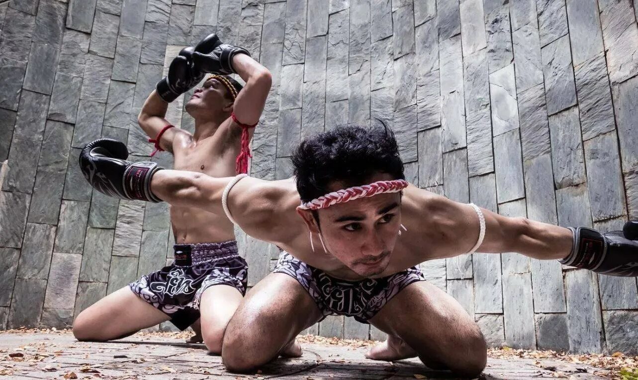 Каратэ обои. International martial arts association. Щит для единоборств. Karate combat 2022. Читать боевые искусства будущего.