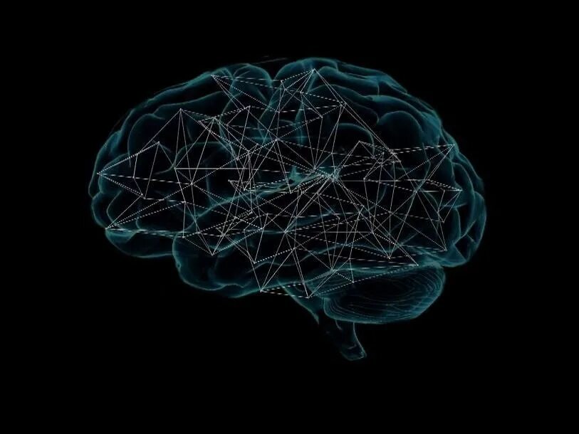 Нейросеть головного мозга. Нейронные связи в мозге. Макет мозга.