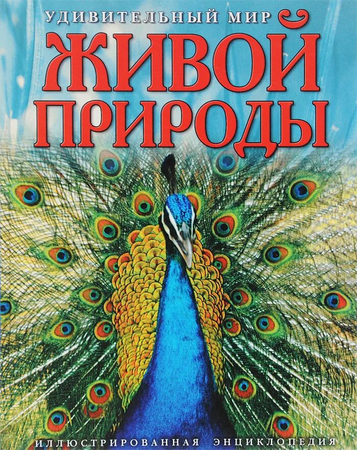 Современная энциклопедия для мальчиков. Удивительный мир энциклопедий. Обложка энциклопедии. Энциклопедия я познаю мир. Книга живой мир.