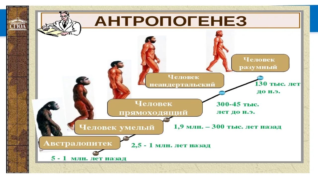 В каких районах земли произошло формирование человека. Эпохи развития человечества палеолит. Происхождение человека люди эпохи палеолита. Этапы развития человека палеолит. Периоды эволюции человека палеолит.