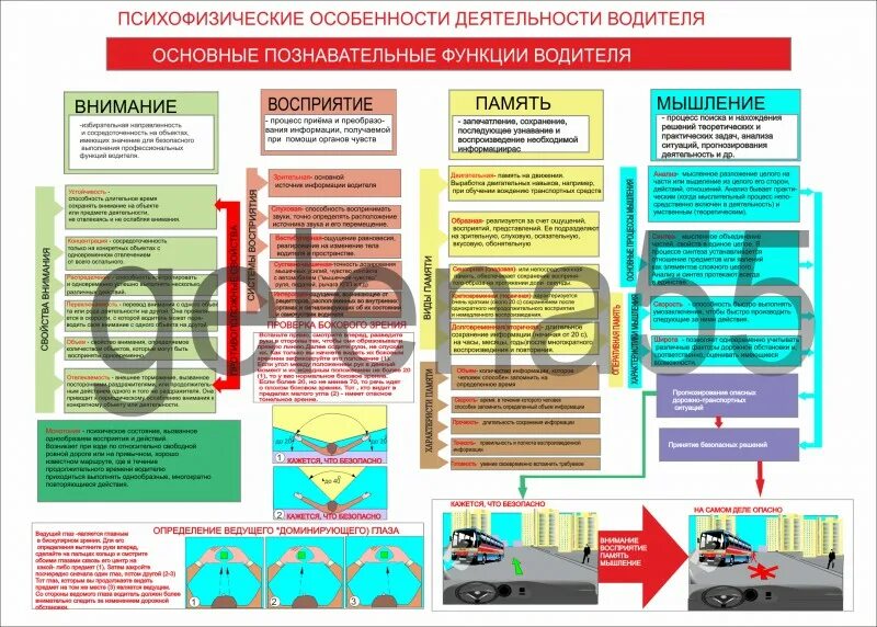 Анализ деятельности водителя. Информация в деятельности водителя. Познавательные функции водителя. Внимание водитель.