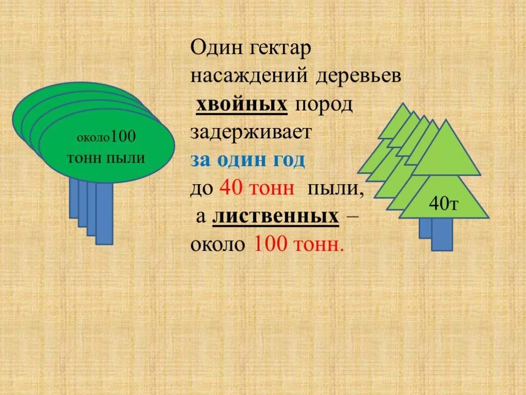 На уровне 1 500. Поглощение пыли деревьями. Деревья поглощают пыль. Один гектар еловых насаждений. 1 Гектар насаждений за год.