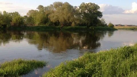 Вода в москве реке звенигород