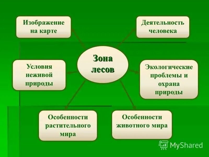 Леса россии тест 4 класс окружающий мир. Деятельность человека в зоне лесов. Труд человека в Лесной зоне. Деятельность человека в зоне широколиственных лесов. Деятельность человека в Лесной зоне России.