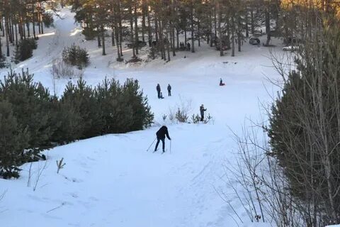 Горки курск