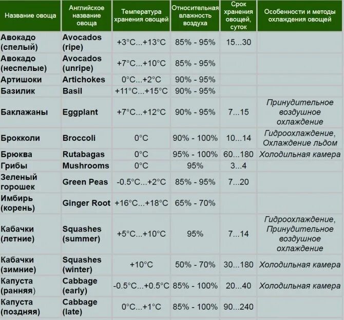 Суток при комнатной температуре. Сроки хранения овощей таблица. Температура хранения овощей и фруктов таблица. Температура хранения овощей таблица. Температурный режим хранения овощей.