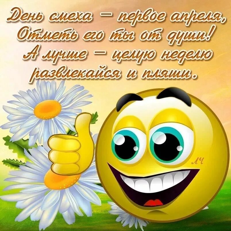 Хорошего дня шутки