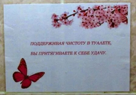 Поддерживать чистоту