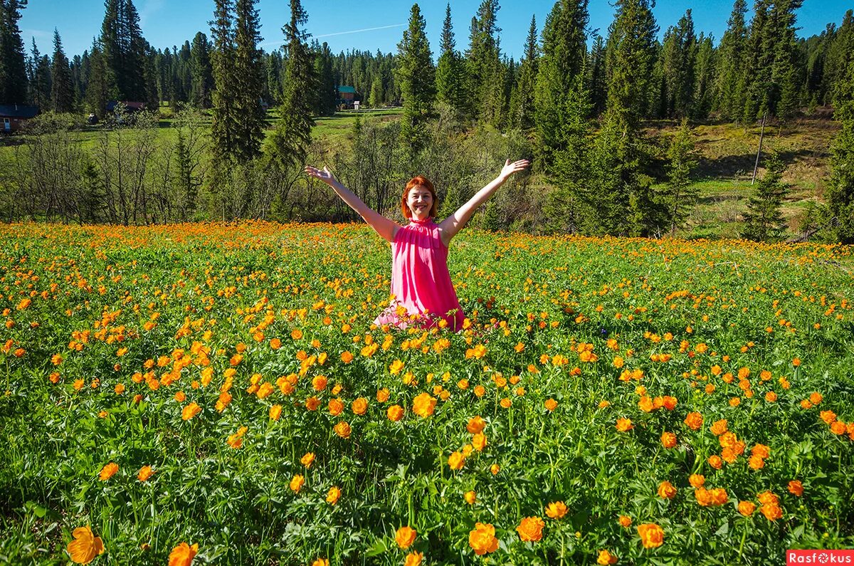 Осеннее счастье. Все ушла фото. Лето прекрасная пора. Собака в куртке. Какое нынче лето.