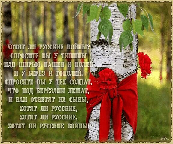 Хотят ли русские войны стих. Спросите у русских хотят ли войны. Стих спросите вы у тишины хотят ли русские войны. Хотят ли русские войны текст. План анализ стихотворения хотят ли русские войны