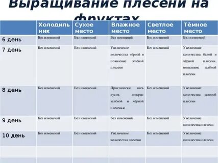 Выращивание плесени на хлебе практическая