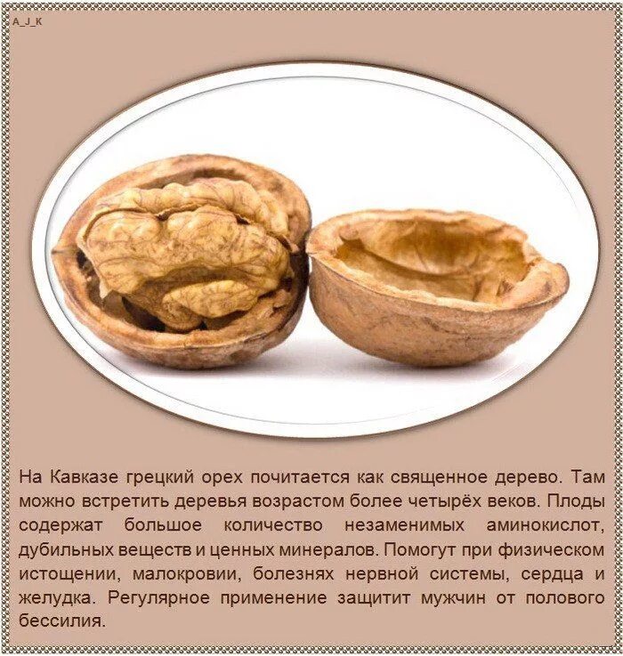 Греческий орех. Этот близкий родственник грецкого ореха можно встретить. Juglans cordiformis. Дальневосточный маньчжурский орех. Греческий орех.
