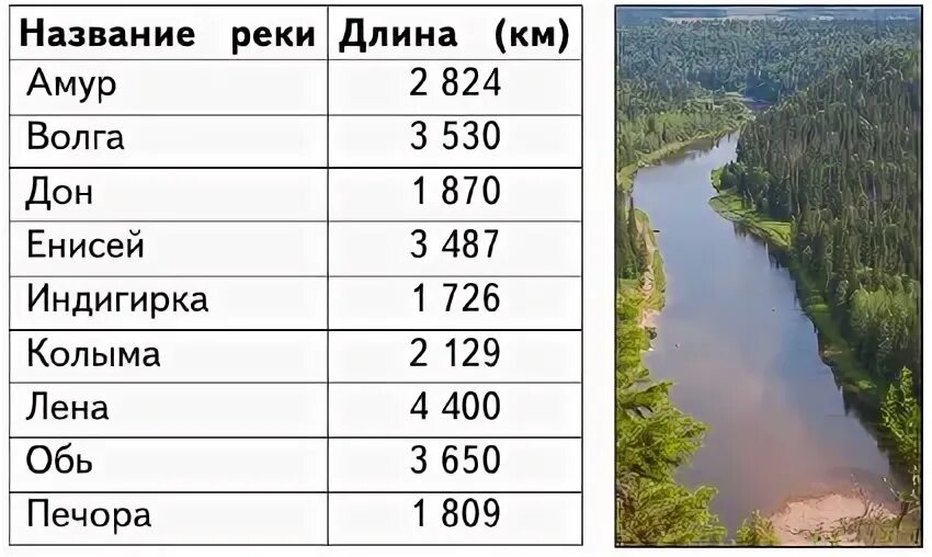 Какая длина лены. Волга Обь Енисей Лена протяженность. Енисей река протяженность реки. Протяженность реки Амур. Протяженность реки Енисей.