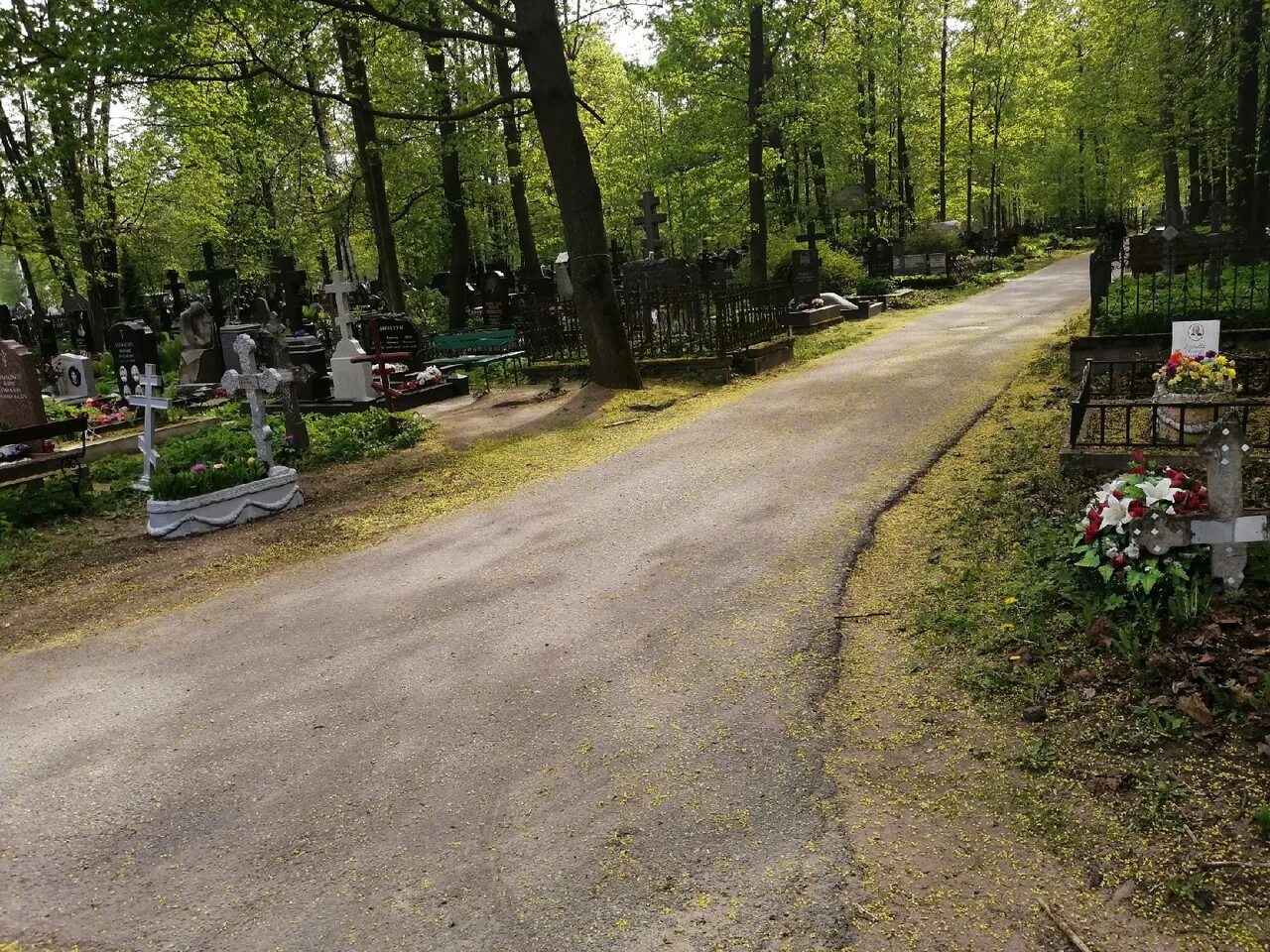 Челябинское митрофановское кладбище старые могилы. Старые могилы. Кладбище красный сад батайск. Город кладбище. Воскресенское кладбище ульяновск.