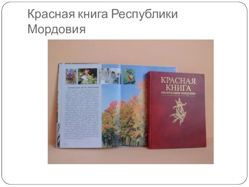 Книга республика россия. Животные и растения занесенные в красную книгу Мордовии. Растения и животные Мордовии занесенные в красную книгу России. Растения занесенную в красную книгу России Мордовии. Красная книга Республики Мордовия растения.