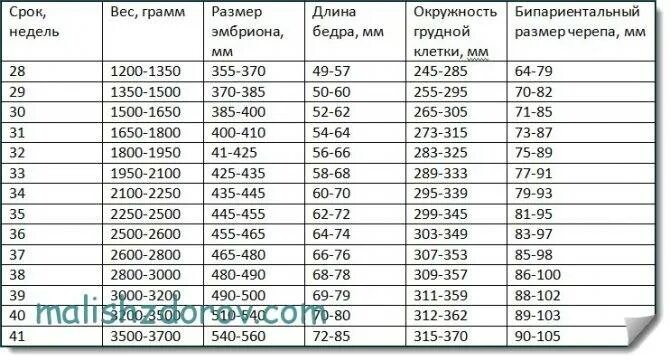 Норма плода в 20 недель беременности таблица. Вес плода в 20 недель беременности норма таблица. Вес плода в 20 недель норма таблица. Нормы веса ребенка по неделям беременности таблица. 30 недель беременности сколько весит ребенок