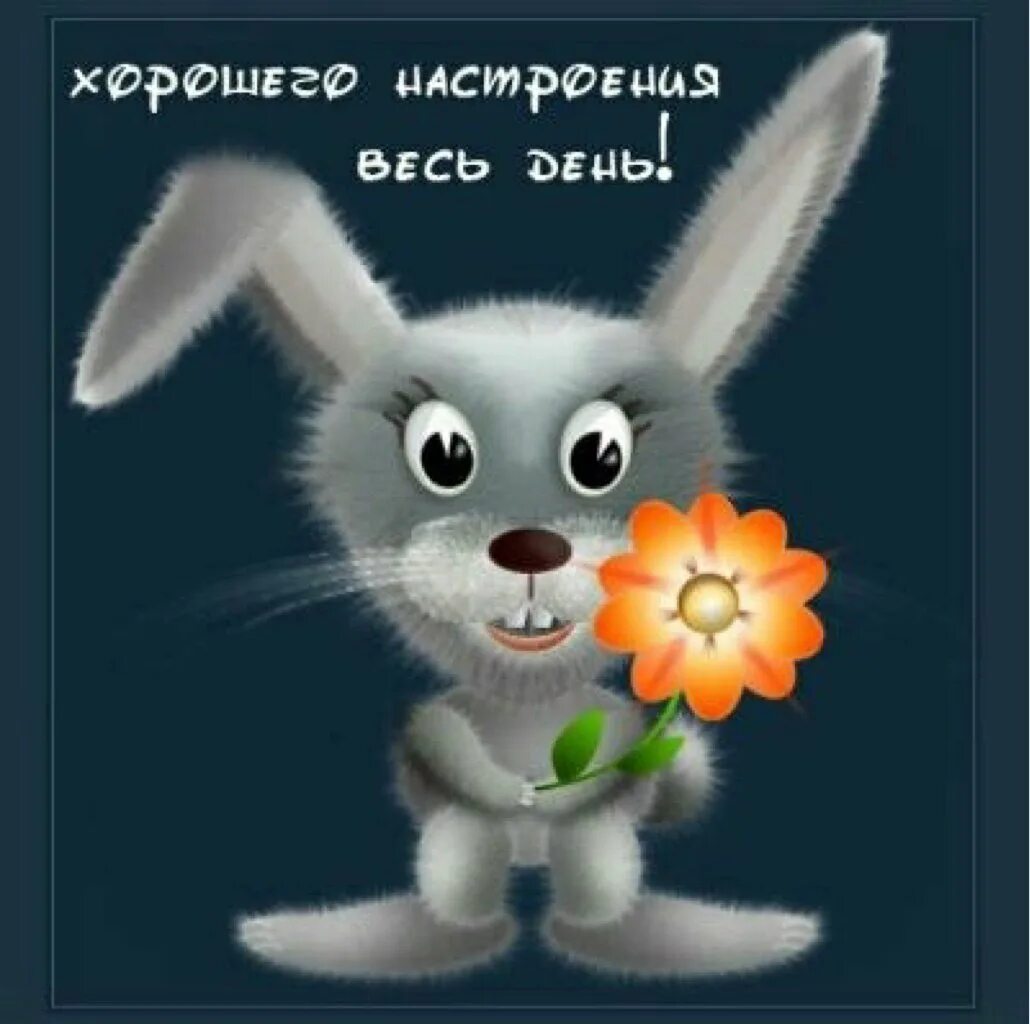 Зая солнышко