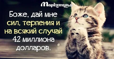 Желаю много сил и терпения