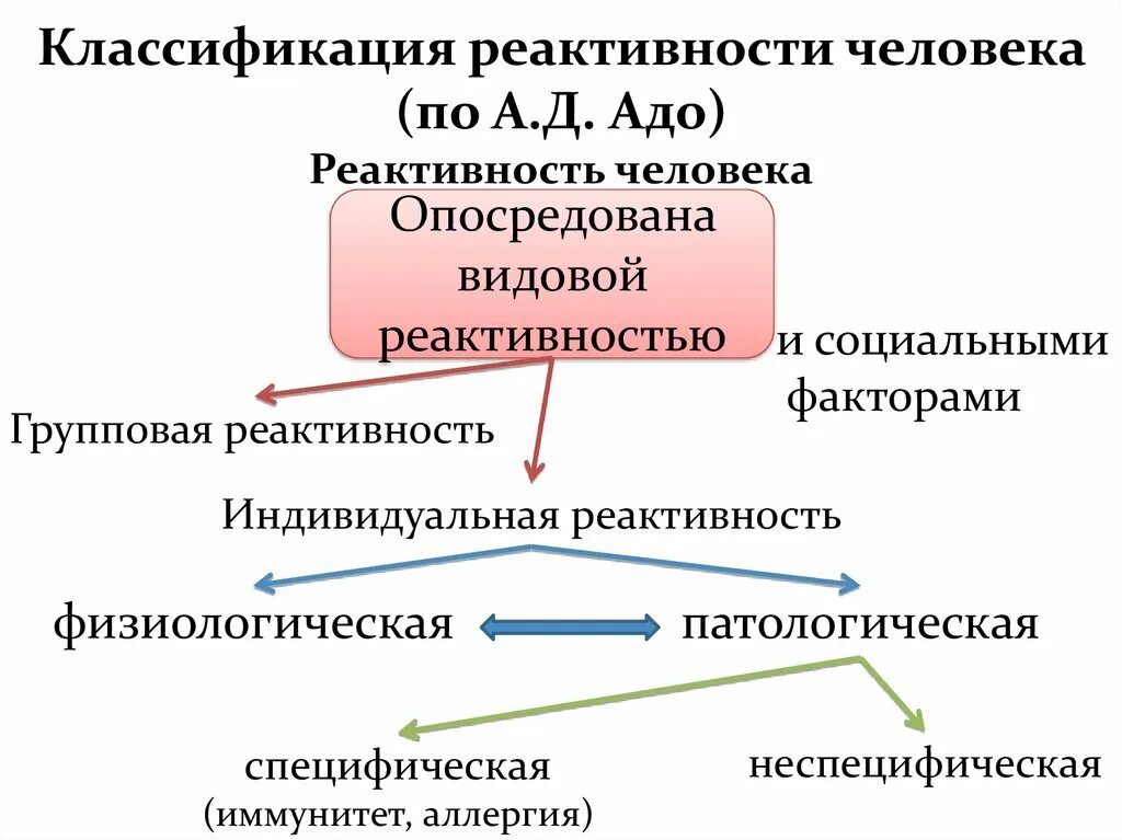 Классификация реактивности. Реактивность организма классификация. Реактивность организма презентация. Видовая реактивность примеры.