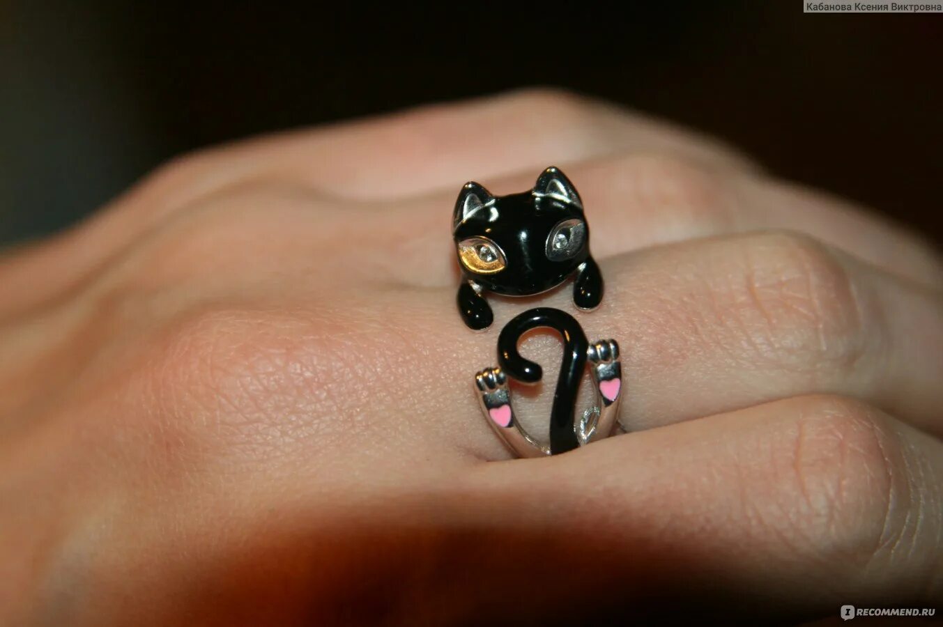 Miraculous Adrien's Ring Zag Store