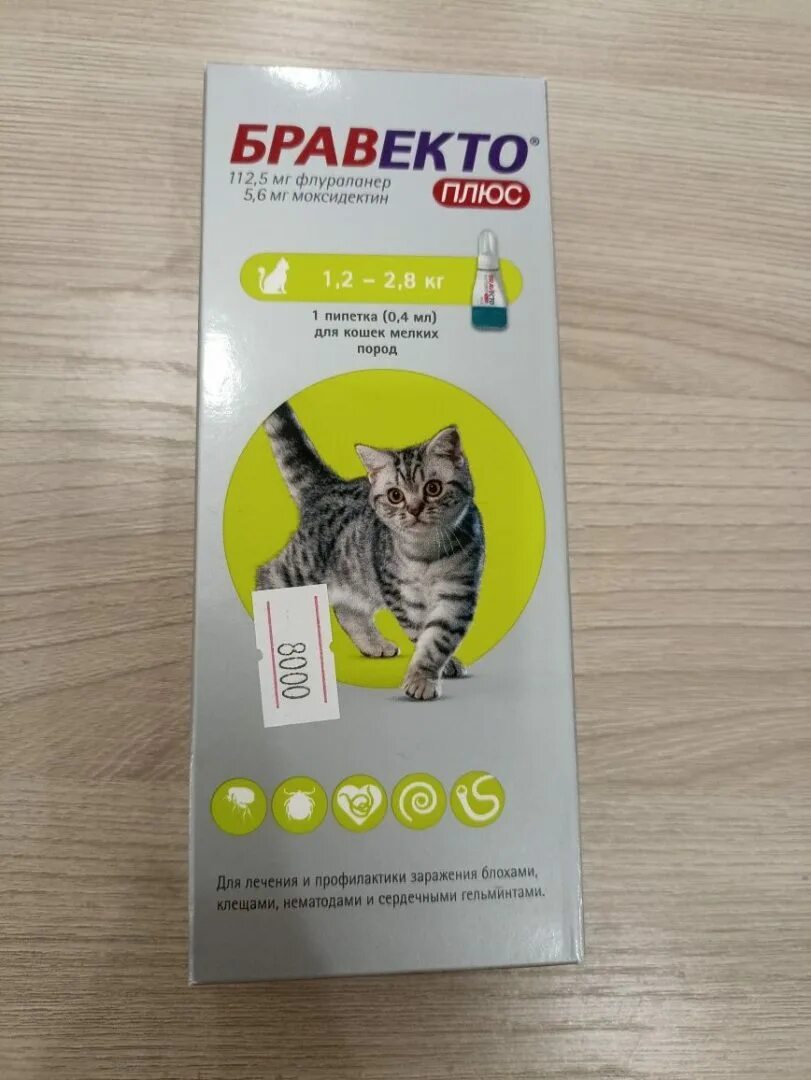 Бравекто плюс для кошек купить. Bravecto для кошек. Бравекто плюс для кошек. Бравекто американская упаковка для кошек. Бравекто плюс, для кошек 1.2 - 2.8 кг, пипетка 112.5 мг.