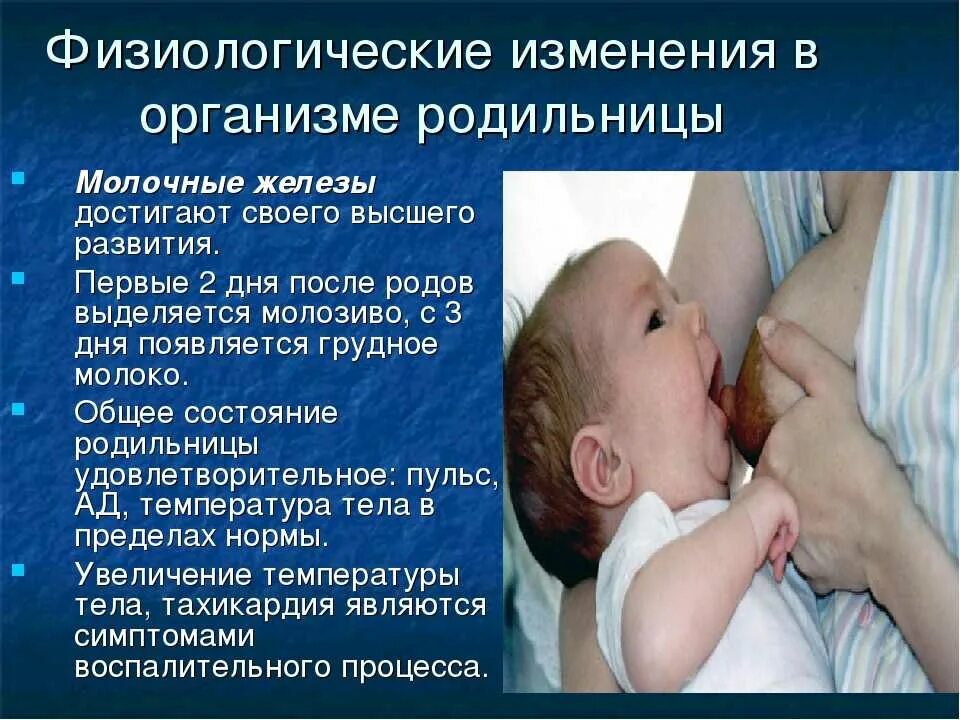 Как обновляется грудное