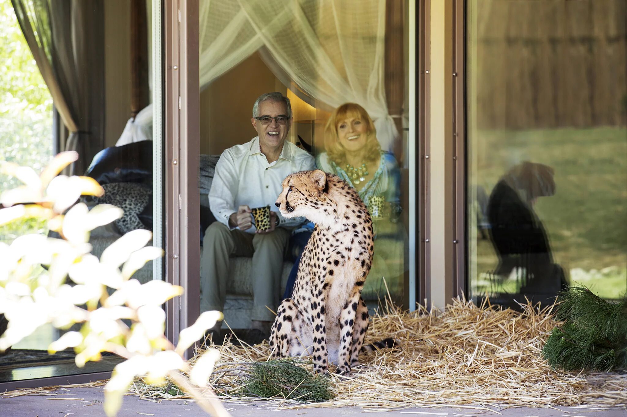 Advantages of keeping animals in zoos