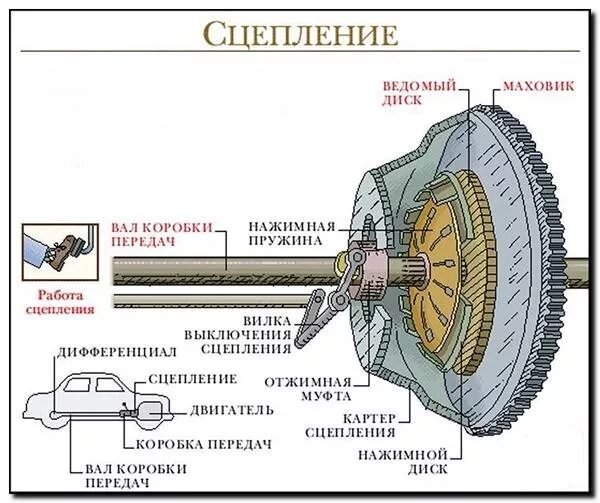 Почему ведет сцепление. Принцип работы сцепления механической коробки передач. Диск сцепления принцип работы. Схема сцепления механической коробки передач. Принцип работы сцепления автомобиля.