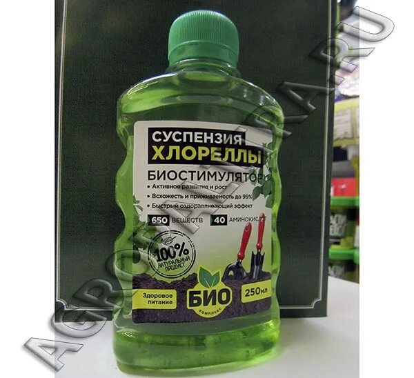 Как пользоваться хлореллой