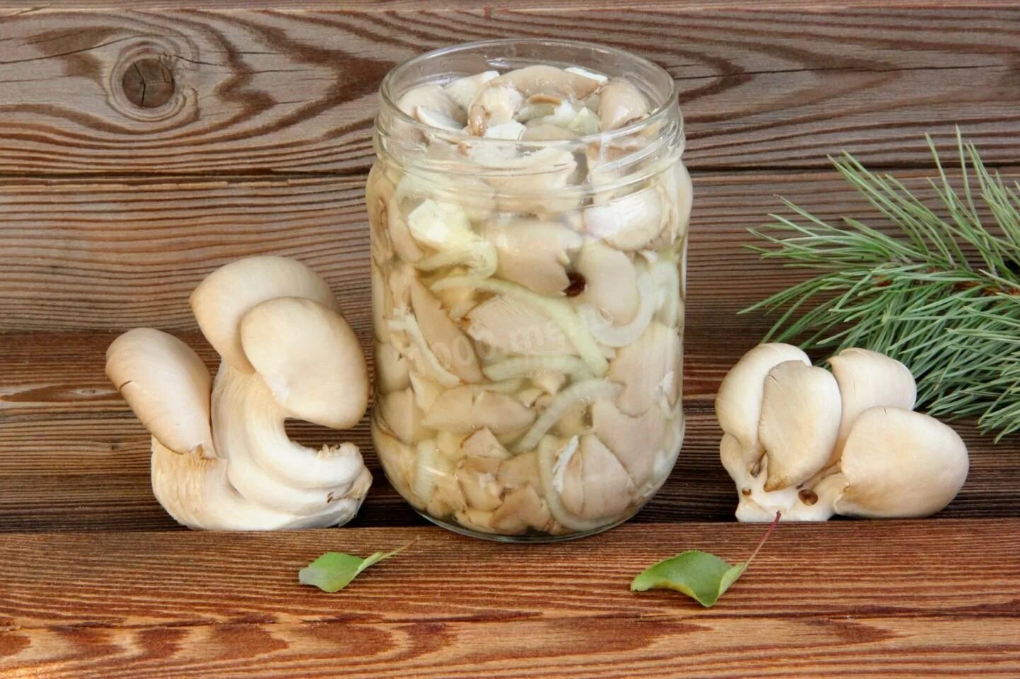 Как вкусно замариновать грибы вешенки. Вешенки маринованные. вёшенки маринованные. вёшенки маринованные быстрого. вешенки соленые.
