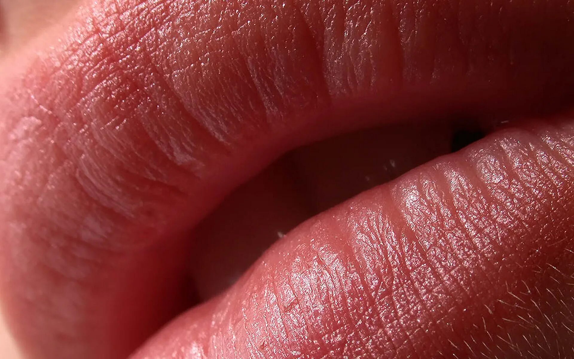 Wet lips. Wet lips