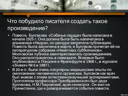 Проблема произведения собачье