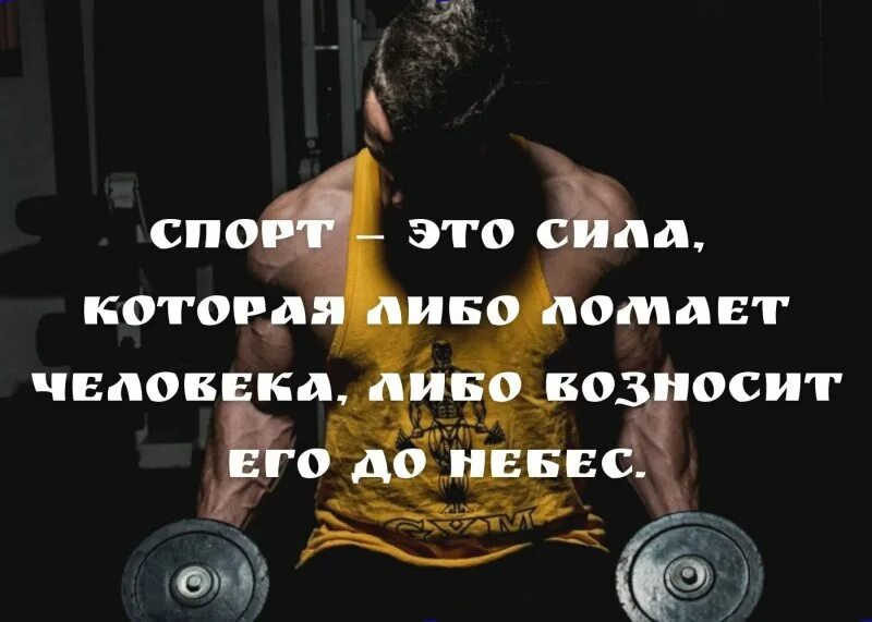 Спортивные цитаты. Мотивирующие фразы про спорт. Слова мотивации для спорта. Спорт мотивация. Слова мотивации для спорта.